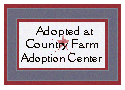 Click here to adopt your Three Cheers Bear at Heather's
